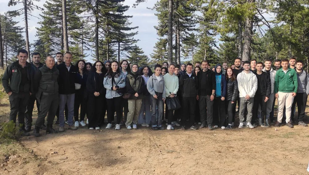 ORMANCILIK BÖLÜMÜ ÖĞRENCİLERİNDEN SİLVİKÜLTÜR DERSİ ARAZİ UYGULAMASI 