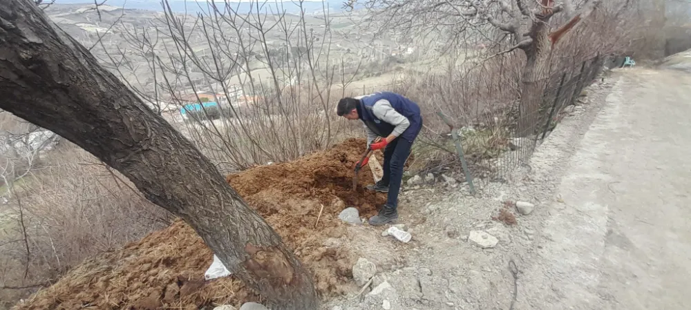MASKİ EKİPLERİ TARAFINDAN YAPILAN  VEKTÖRLERLE MÜCADELE ÇALIŞMALARI