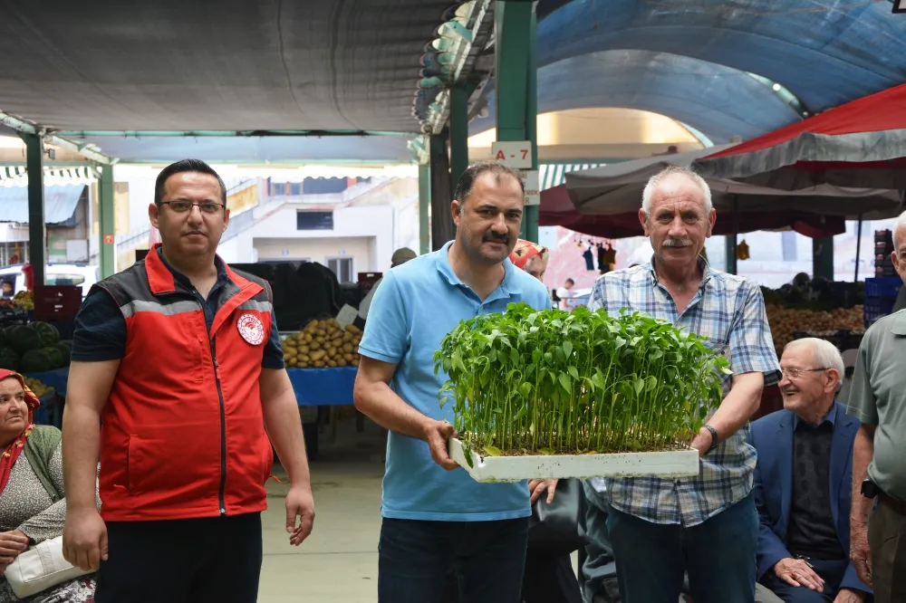 İLÇEMİZDE 40 BİN SEBZE  FİDESİ DAĞITILDI