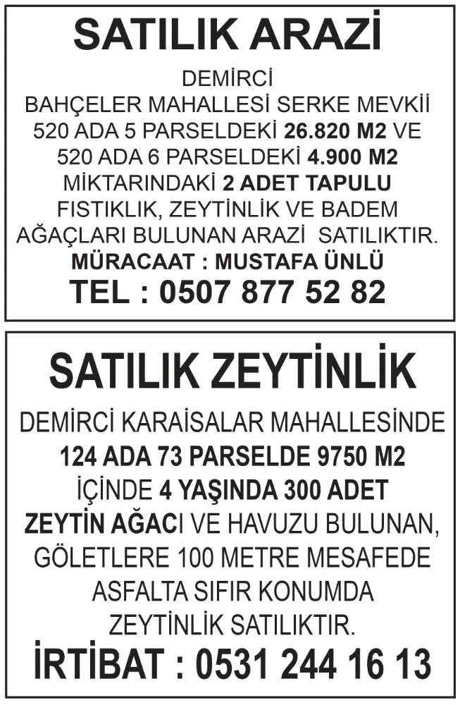 SATILIK ARAZİ VE ZEYTİNLİK