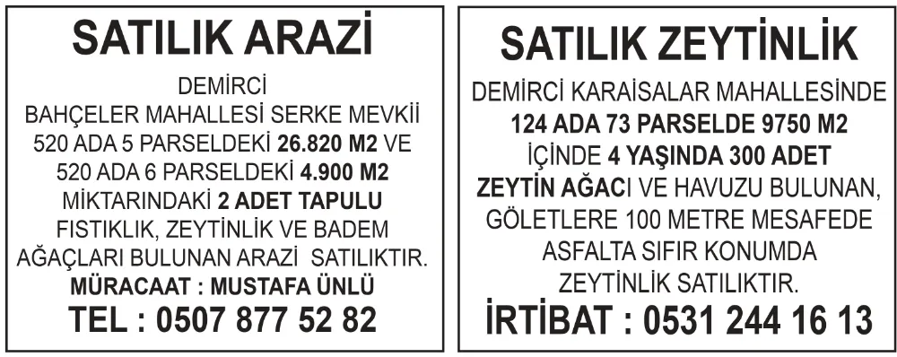 SATILIK ARAZİ VE ZEYTİNLİK