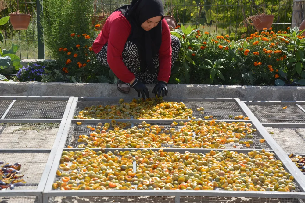 GEÇMİŞTEN GELECEĞE UZANAN  138 YILLIK ŞİFA KAYNAĞI